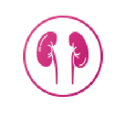 ISENTRESS® (raltegravir) and ISENTRESS® HD (raltegravir): No Dosage Adjustment Is Necessary in Patients With Renal Impairment