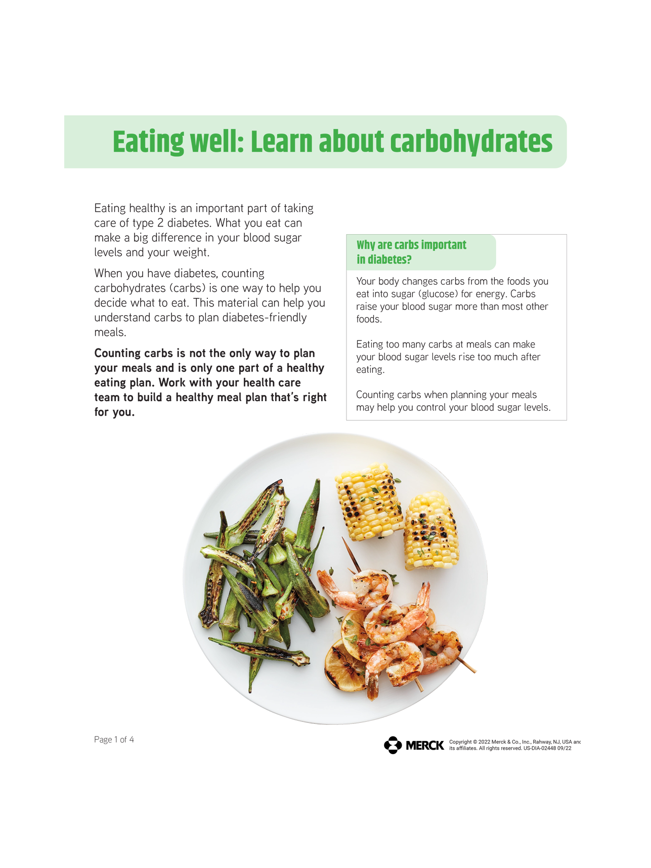 Information on Carbohydrates for Patients With Type 2 Diabetes