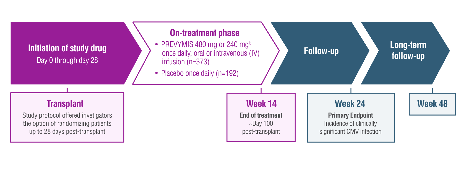 Timeline and Design for Study of Cytomegalovirus (CMV) Prophylaxis