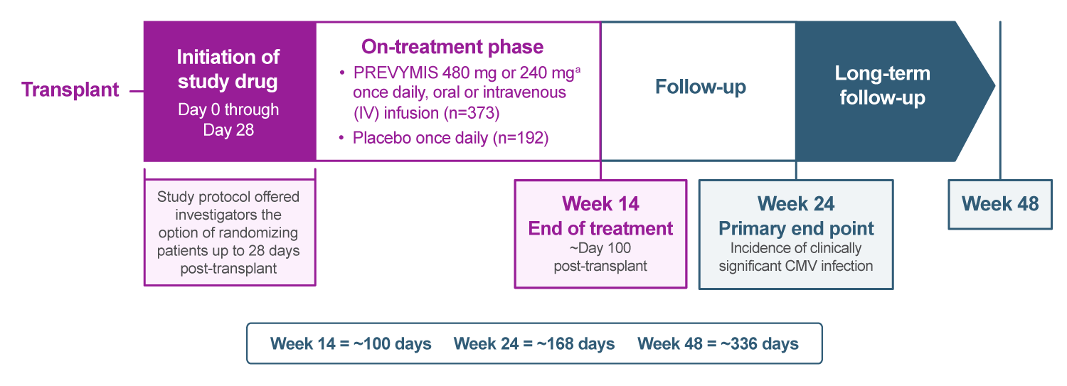 Study Design of PREVYMIS® (letermovir) for Cytomegalovirus (CMV) Prophylaxis in Adult Allogeneic HSCT Recipients Through Week 14 Post-HSCT