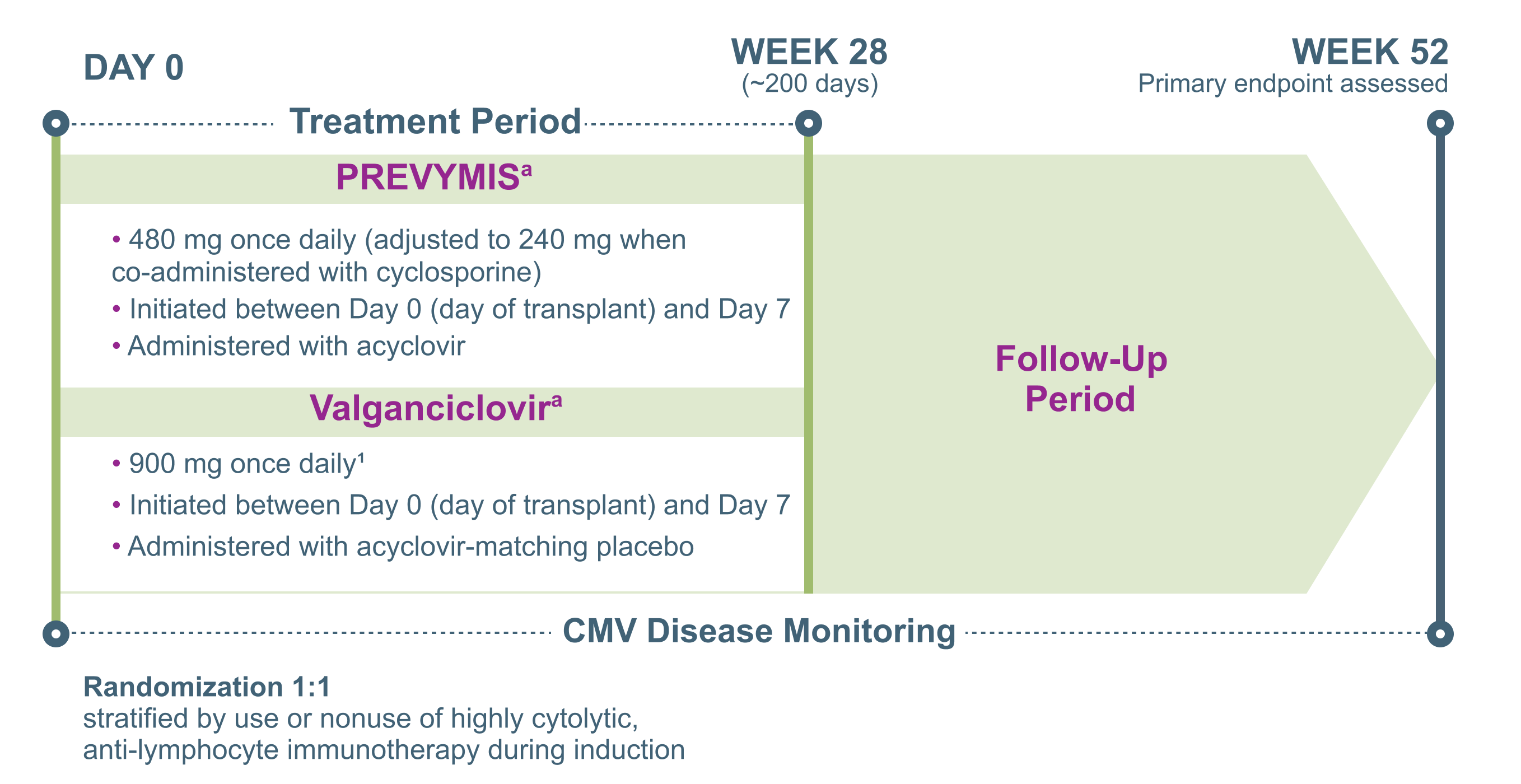 Study Design for PREVYMIS® (letermovir) in Adult Kidney Transplant Patients