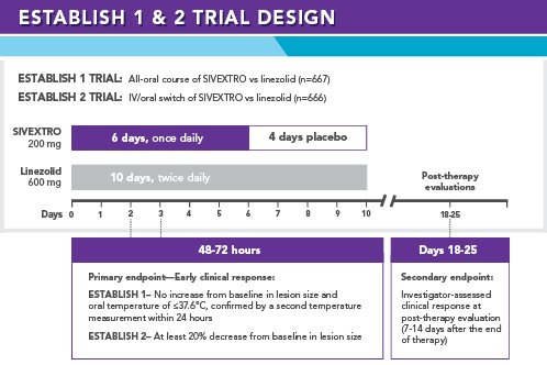 Phase 3 Clinical Trial Design
